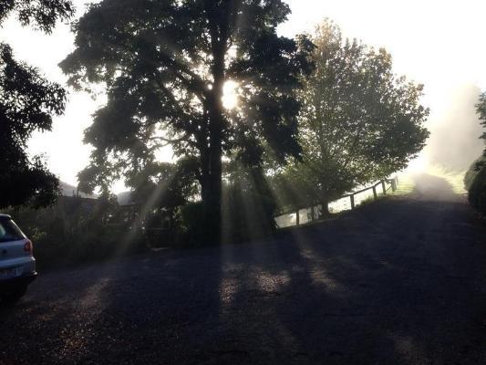 Melyek a legjobb hotelek Queen Mary Falls közelében? Killarney Szoba fotó